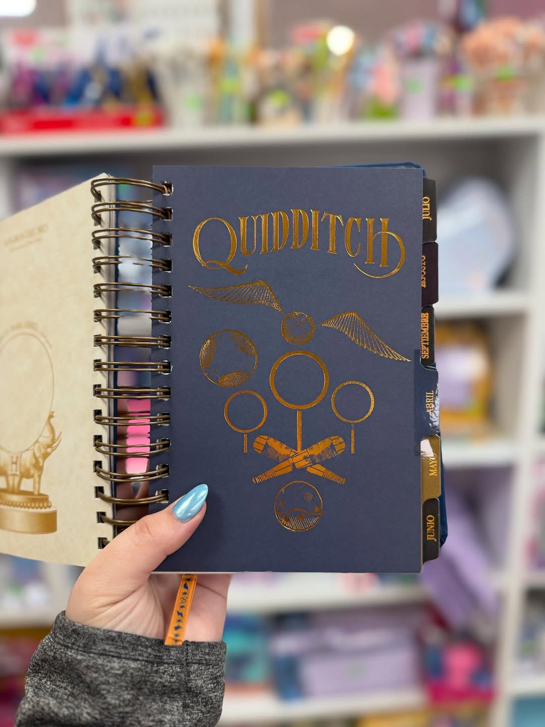 HP Agenda 2026 - Magical Planner for Potterheads