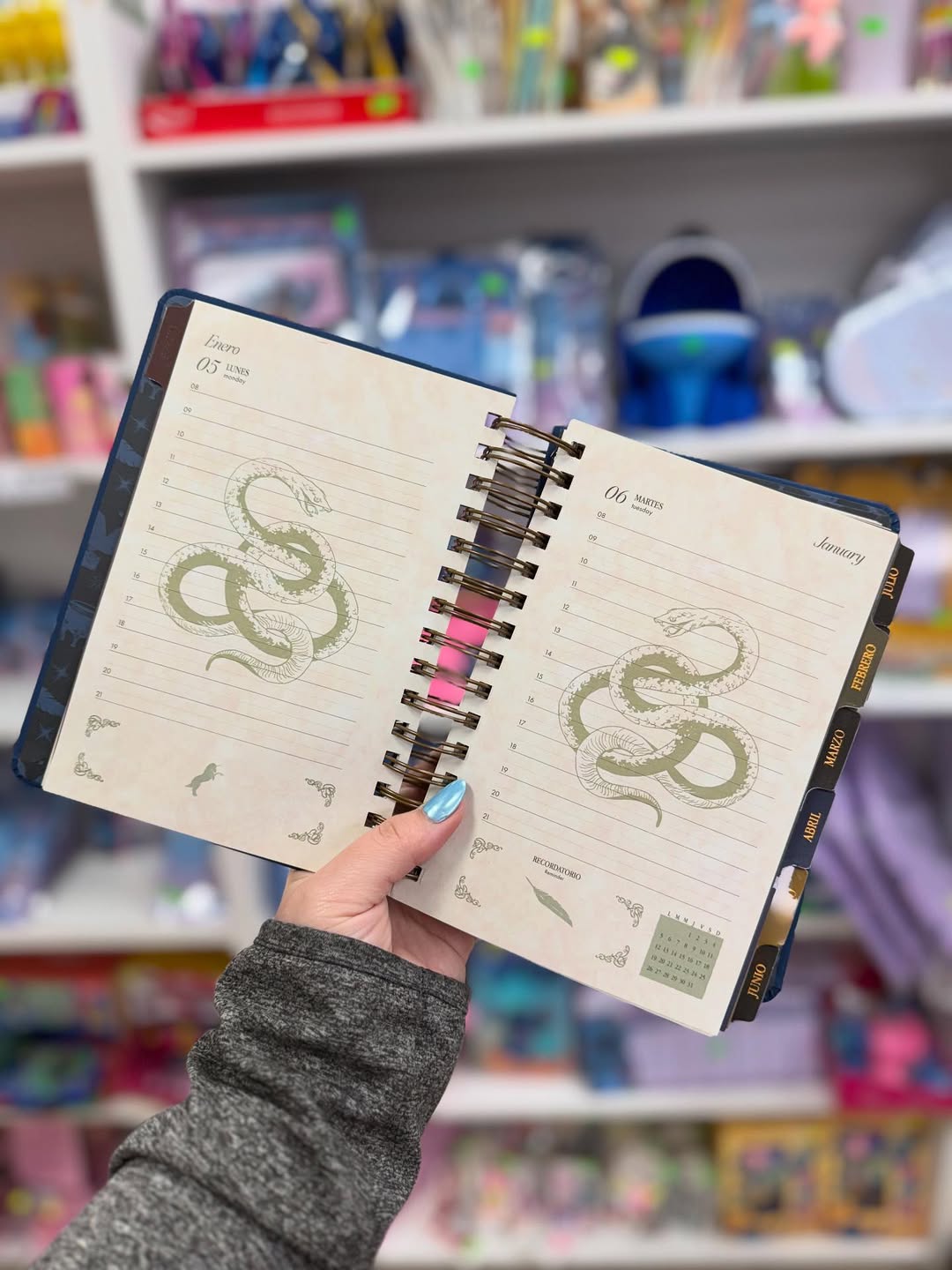 HP Agenda 2026 - Magical Planner for Potterheads