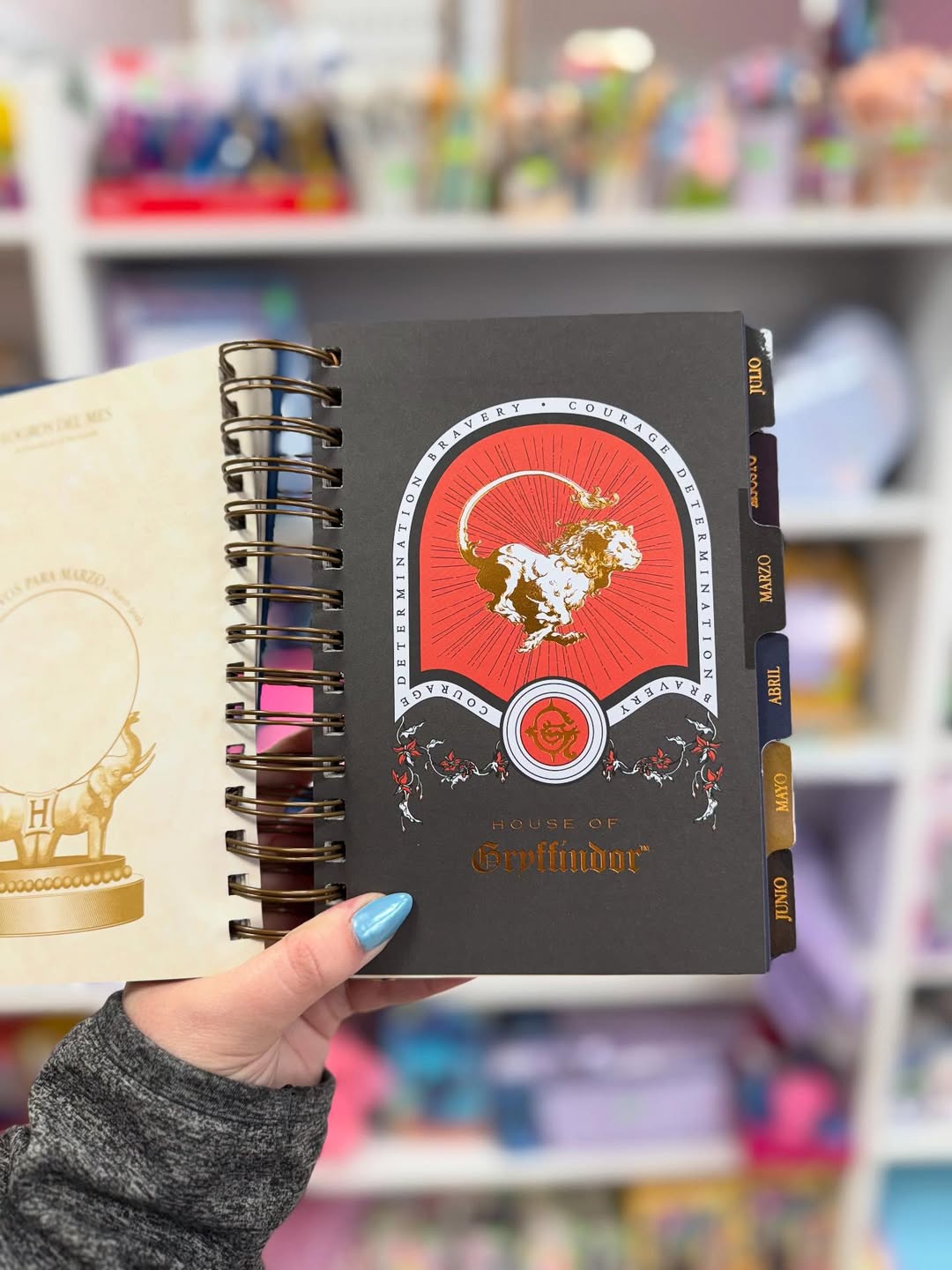 HP Agenda 2026 - Magical Planner for Potterheads
