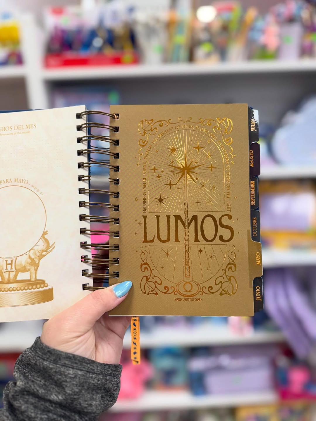 HP Agenda 2026 - Magical Planner for Potterheads