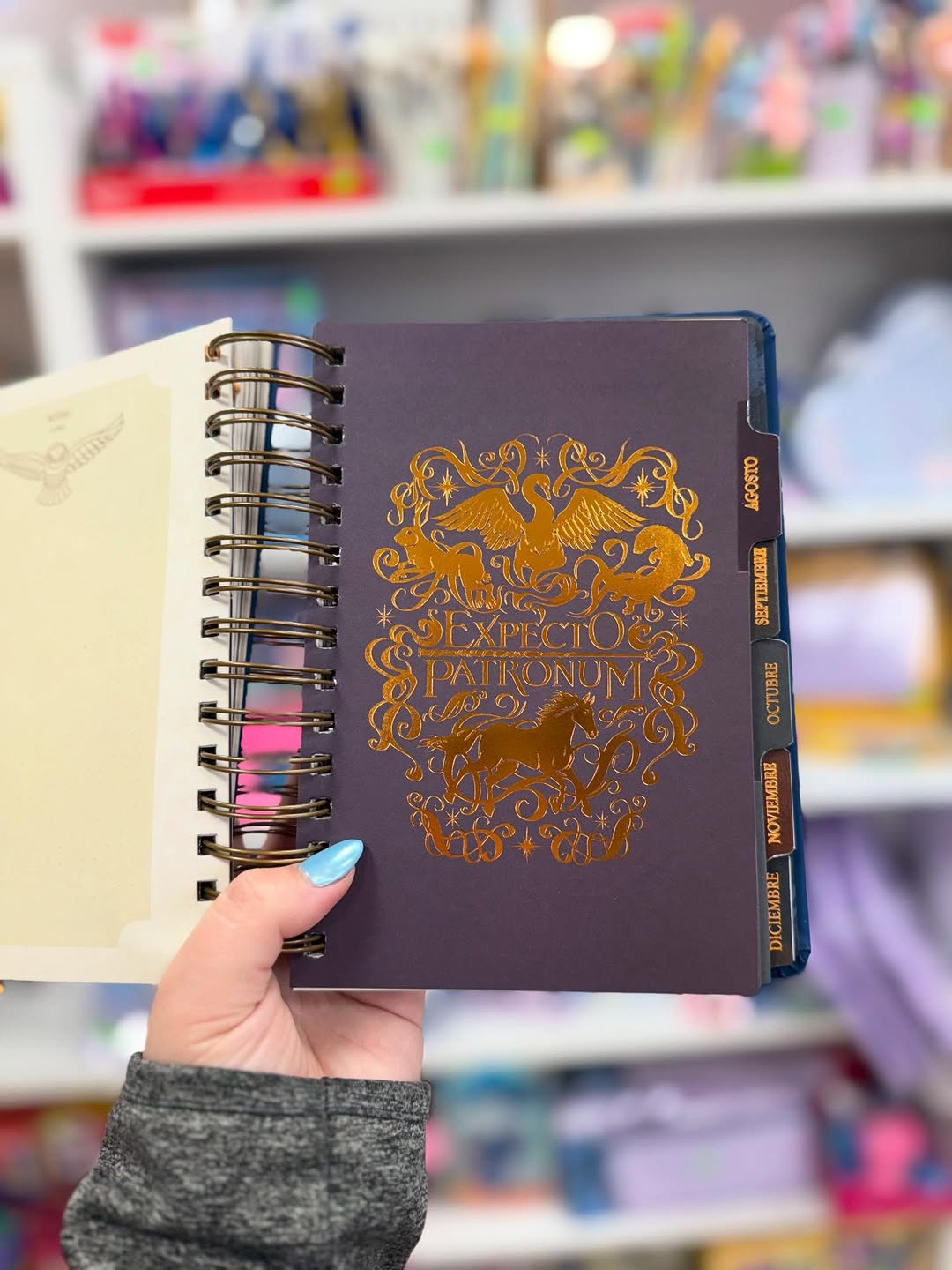 HP Agenda 2026 - Magical Planner for Potterheads