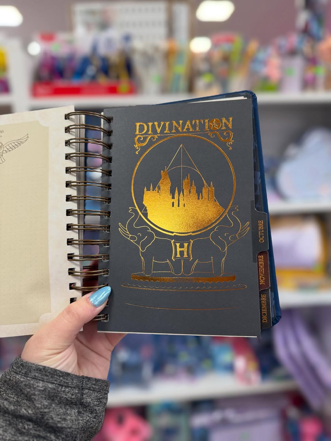 HP Agenda 2026 - Magical Planner for Potterheads