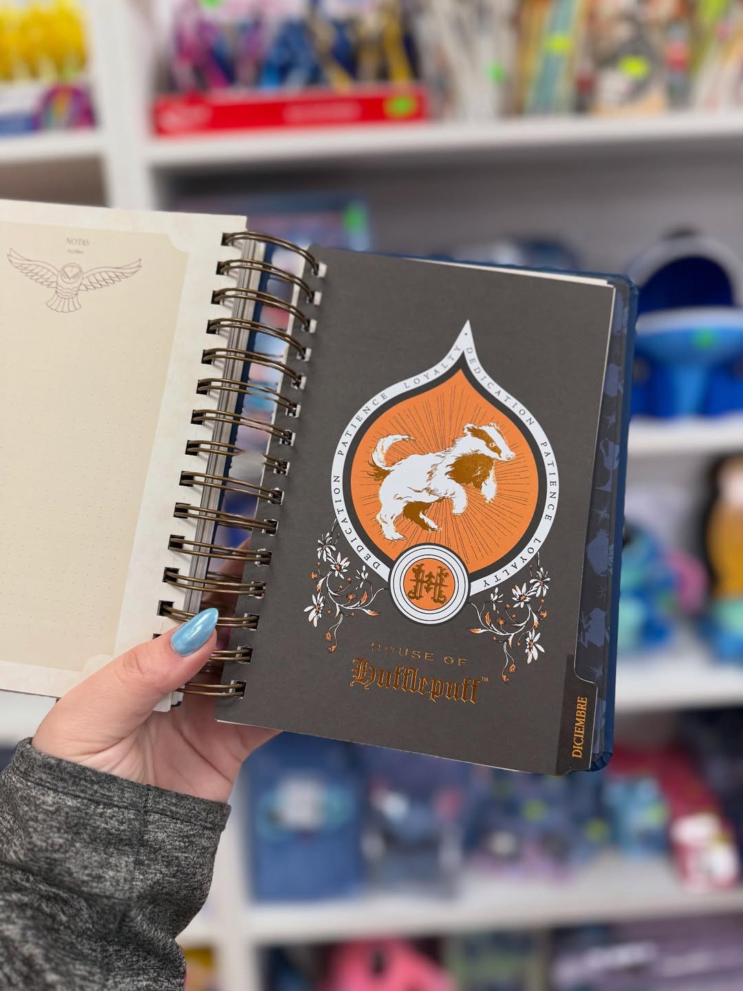 HP Agenda 2026 - Magical Planner for Potterheads